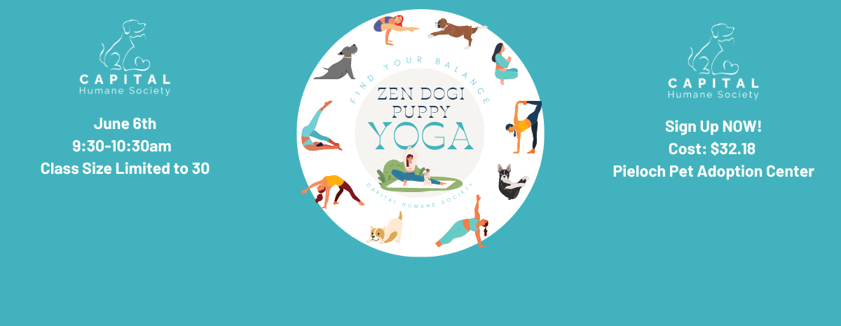 Zen DOGi Yoga #2 June 6, 2026